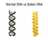 Italian DNA.jpg