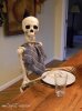 waiting for food.jpg